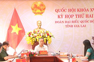 Đoàn đại biểu Quốc hội tỉnh Gia Lai tham gia góp ý dự thảo Luật Kinh doanh bảo hiểm (sửa đổi)