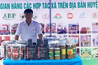 Mang Yang tạo đột phá trong Chương trình OCOP