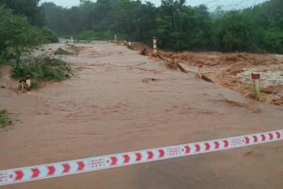 Gia Lai: Chủ động ứng phó áp thấp nhiệt đới có khả năng mạnh lên thành bão