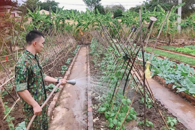 Các chốt tuần tra biên giới tích cực tăng gia sản xuất