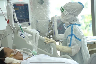 Sáng 21/10: Chỉ còn gần 600 ca Covid-19 thở máy, ECMO; Không bắt buộc tất cả khách đi tàu, máy bay phải xét nghiệm