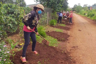 Điểm sáng cuộc vận động "Xây dựng gia đình 5 không, 3 sạch"