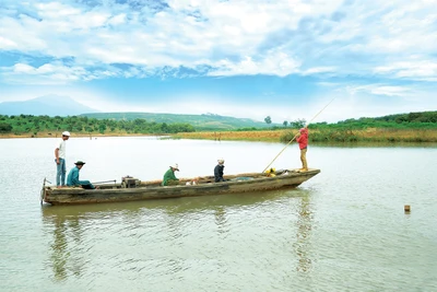 Chòng chành những chuyến đò ngang