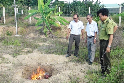 Krông Pa: Tiêu hủy 40 kg thịt heo rừng