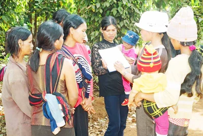 Tảo hôn trong vùng đồng bào Bahnar, Jrai: Đâu là nguyên nhân?