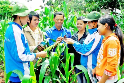 Lan tỏa tinh thần xung kích, tình nguyện trong học sinh-sinh viên Gia Lai