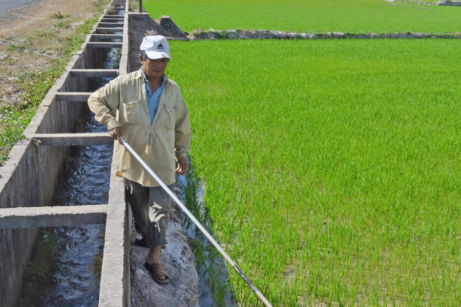 Chủ động phòng-chống hạn trên địa bàn Gia Lai