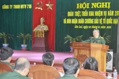 Năm 2019 phấn đấu đạt doanh thu trên 163 tỷ đồng