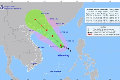 Bão số 1 (CHABA) đã mạnh lên; 4 tỉnh thành còn có tàu cá hoạt động trong vùng nguy hiểm