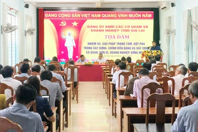 Gia Lai: Tọa đàm giải pháp đột phá trong xây dựng, chỉnh đốn Đảng