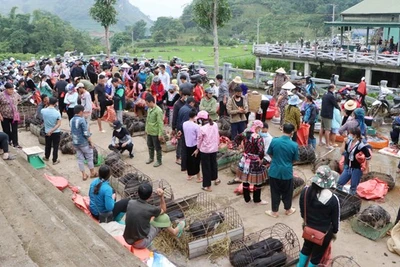 Độc đáo chợ phiên San Thàng đậm nét văn hóa của người Giáy, Mông