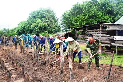 Trung đoàn 710 "bám làng, giúp dân"