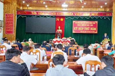 6 tháng đầu năm, Mang Yang chuyển đổi 142 ha cây trồng