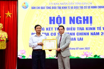 Gia Lai: Khen thưởng 172 tập thể và cá nhân trong công tác tổng điều tra kinh tế và cơ sở hành chính năm 2021