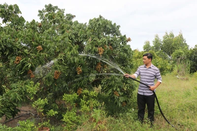 An Khê đồng hành cùng thanh niên lập thân, lập nghiệp