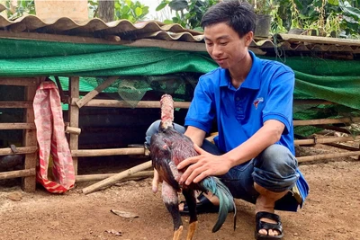 Anh lính xuất ngũ làm nông nghiệp sạch