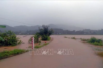 Kiểm tra công tác phòng, chống thiên tai tại tỉnh Kon Tum