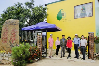 Avocado Farm - nét mới cho du lịch Đơn Dương