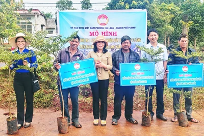 Pleiku: Triển khai mô hình trồng cây bóng mát và tặng quà cho hộ nghèo