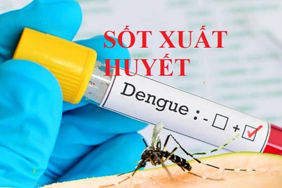 Ia Pa: Số ca sốt xuất huyết tăng, toàn huyện có 31 ổ dịch