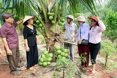 Chư Pưh: Tuổi cao nêu gương sáng