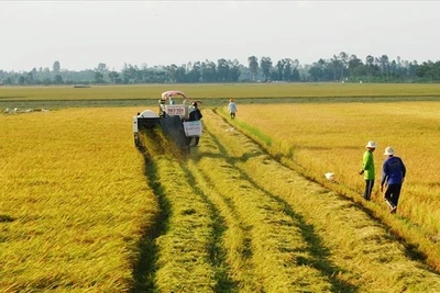 Giá đền bù đất nông nghiệp khi bị thu hồi mới nhất