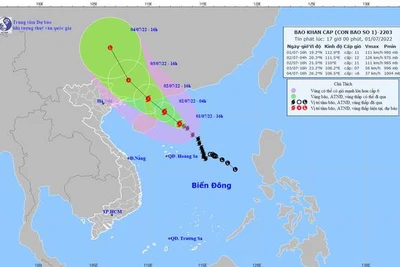 Công điện của Thủ tướng Chính phủ yêu cầu tập trung ứng phó bão số 1 và mưa lũ