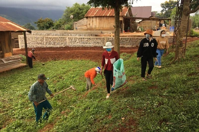 Di Linh: Ra quân Ngày thứ Bảy vì nông thôn mới, đô thị văn minh