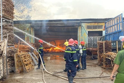 Bình Định: Lại xảy ra cháy lớn ở Khu công nghiệp Phú Tài