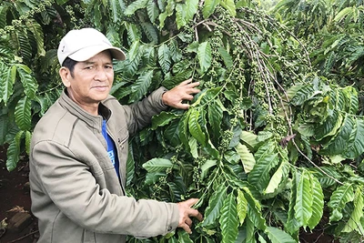 "Tàn nhưng không phế"