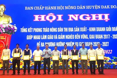 Đak Đoa: 7.420 hộ nông dân đạt danh hiệu sản xuất kinh doanh giỏi