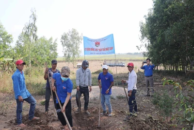 Nhiều hoạt động thiết thực trong Ngày đầu ra quân Tháng Thanh niên