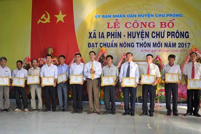 Học Bác từ những việc thiết thực