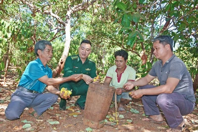 Thế vững quốc phòng ở Tây Nguyên