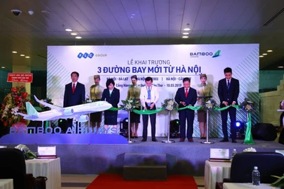 Bamboo Airways đồng loạt mở 3 đường bay Hà Nội đi Đà Lạt,Pleiku,Cần Thơ