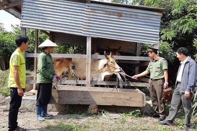 Kbang: "Dân vận khéo" gắn với hỗ trợ hộ nghèo