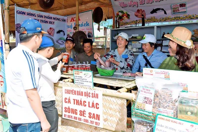 Lễ hội hoa dã quỳ-núi lửa Chư Đăng Ya: Dấu ấn khó quên