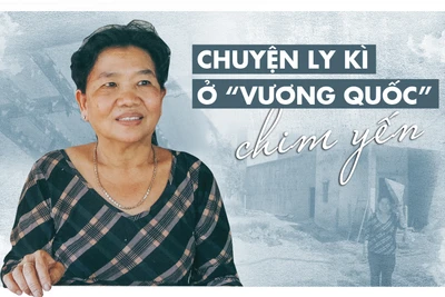 Chuyện ly kì ở "Vương quốc" chim yến