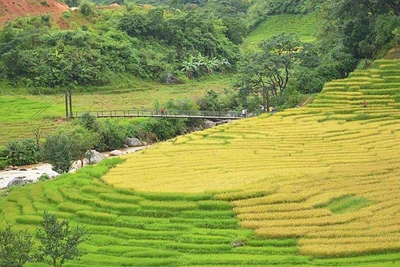 Kỳ thú ruộng bậc thang bên núi Ngọc Linh