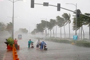 Gia Lai: Sẵn sàng ứng phó với thiên tai khu vực miền Trung và TN