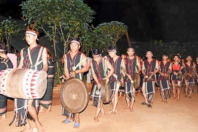 Hăng Ring-Sức sống di sản