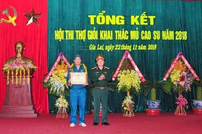 Binh đoàn 15: Hội thi Bàn tay vàng khai thác mủ cao su