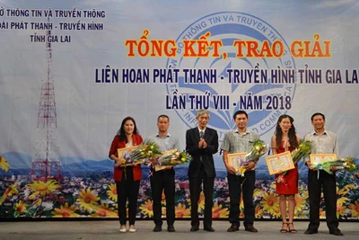 Liên hoan PT-TH toàn tỉnh lần thứ 8:Sức hút từ một sân chơi chuyên nghiệp