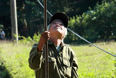 Căng tai, dõi mắt đi săn ong rừng