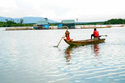 Vạn chài trên dòng Sê San