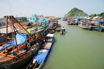 Chống khai thác IUU vì lợi ích của quốc gia, lợi ích của người dân, giữ hình ảnh đất nước