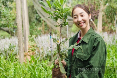 Nữ doanh nhân 9X Đắk Lắk với hành trình đưa hạt mắc ca Việt Nam ra thị trường quốc tế