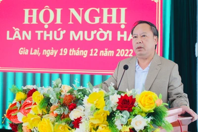 Phó Bí thư Thường trực Tỉnh ủy Châu Ngọc Tuấn: Đổi mới công tác kiểm tra, giám sát theo hướng trọng tâm, trọng điểm