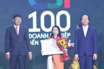 Gia Lai có 3 doanh nghiệp được vinh danh trong top 100 doanh nghiệp bền vững