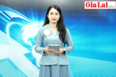 Gia Lai 48h: Gia Lai có 3 doanh nghiệp được vinh danh trong top 100 doanh nghiệp bền vững